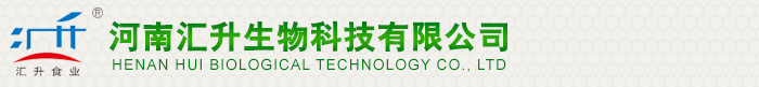 河南汇升科技有限公司